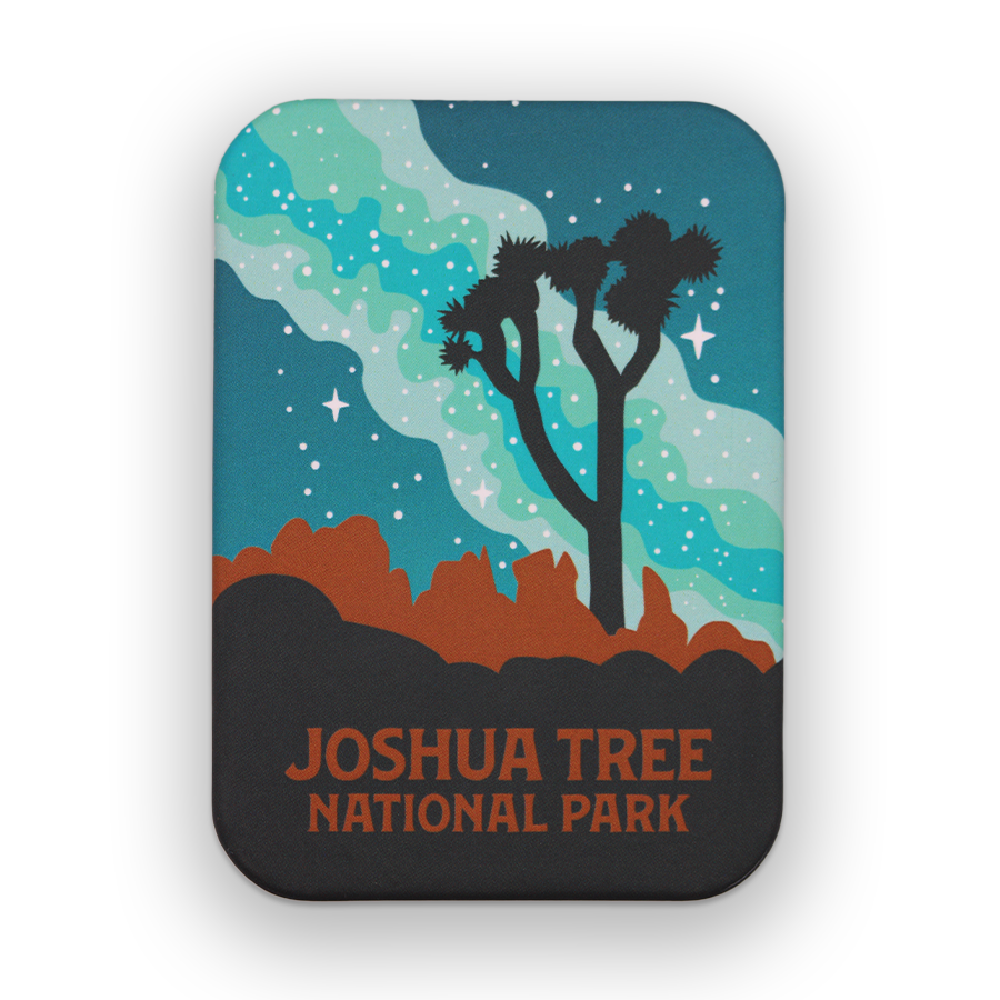 Joshua Tree National Park Milky Way Matte Magnet