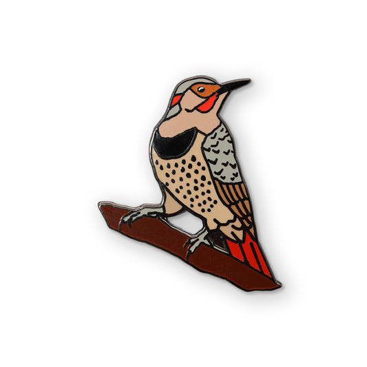 Northern Flicker (Red-Shafted) Pin