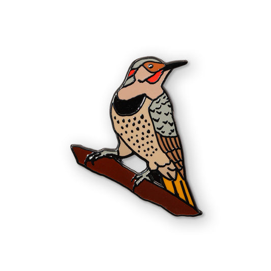 Northern Flicker (Yellow-Shafted) Pin