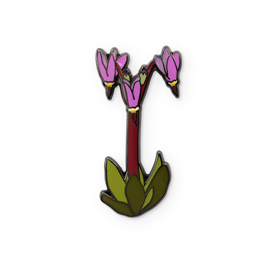 Shooting Star Pin