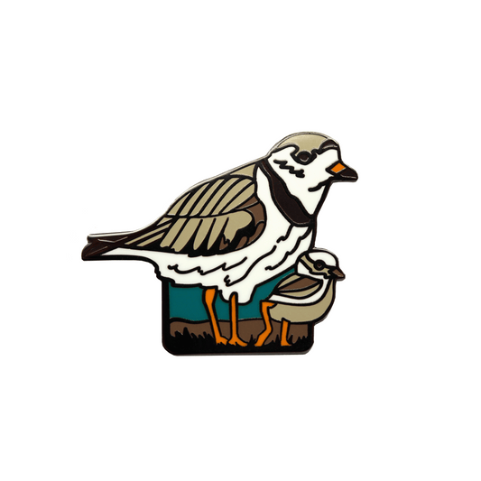 Piping Plovers Pin