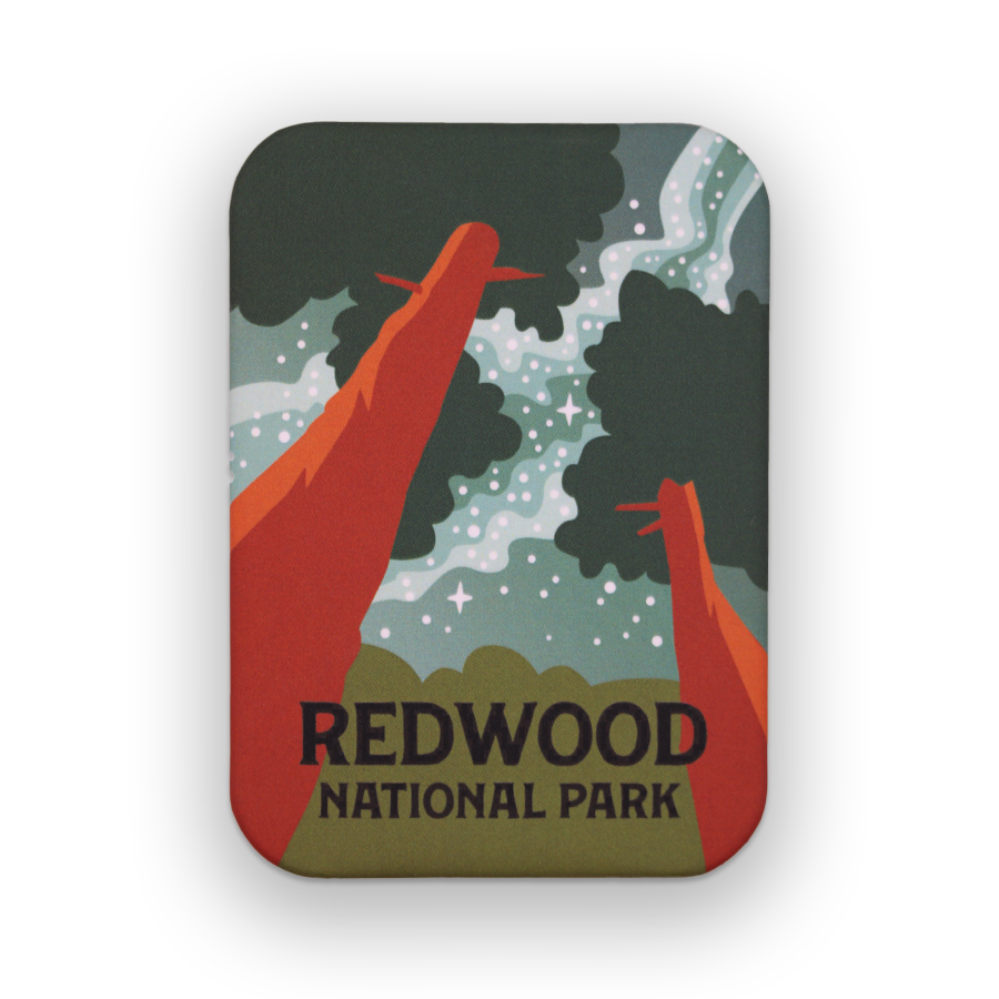 Redwood National Park Milky Way Matte Magnet