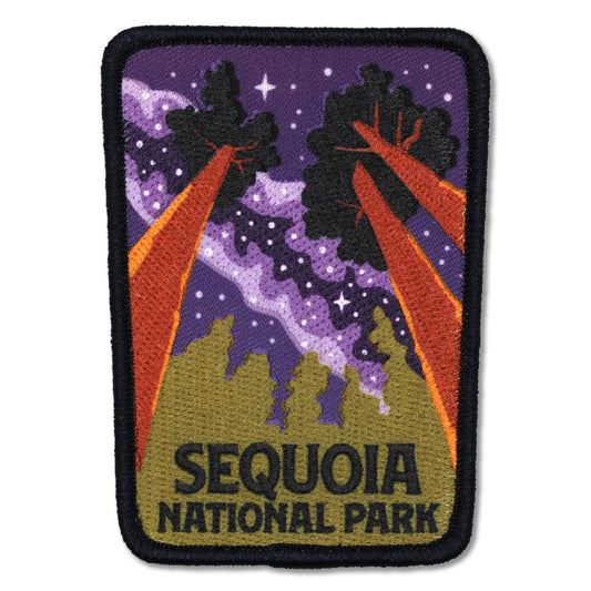 Sequoia National Park Milky Way Patch