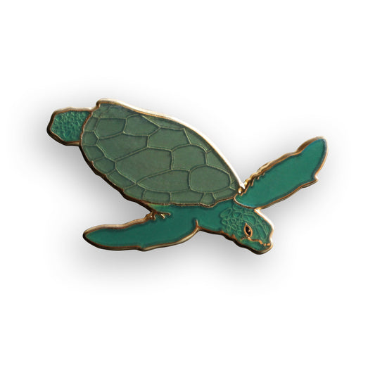 Green Sea Turtle Pin