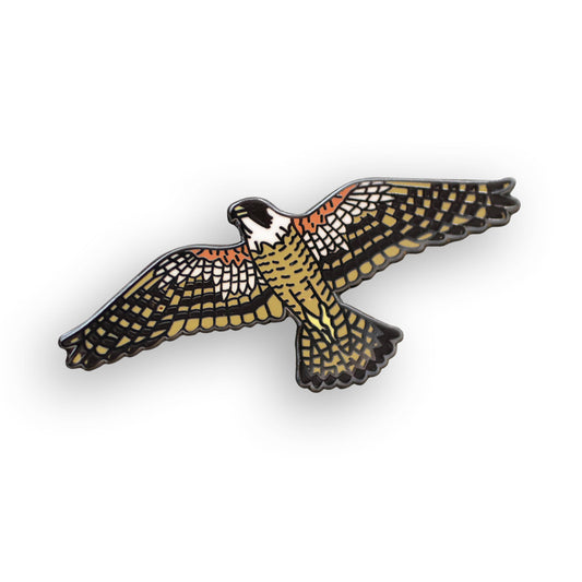 Peregrine Falcon Pin