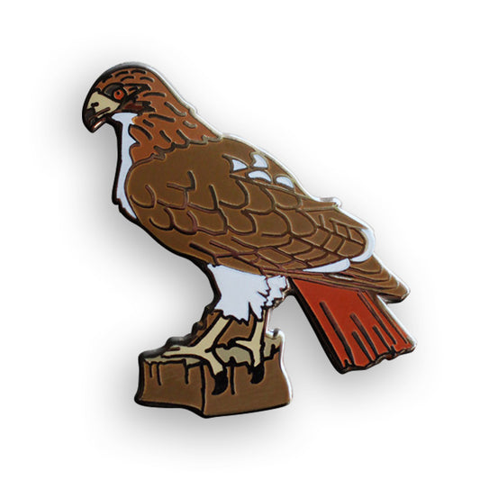 Red-tailed Hawk Pin