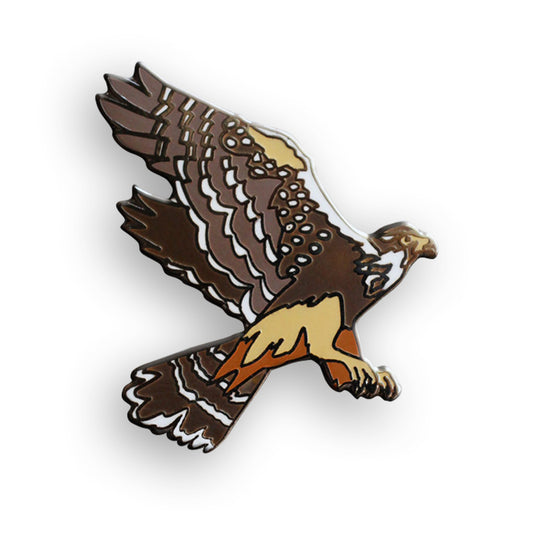 Aplomado Falcon Pin