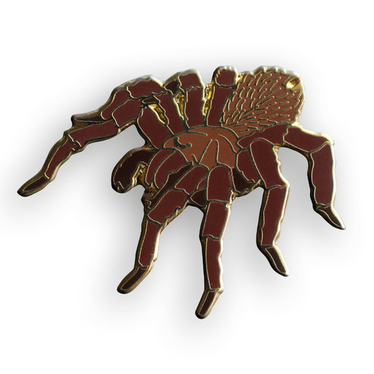Tarantula Pin