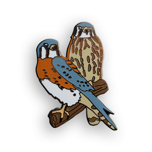 American Kestrels Pin