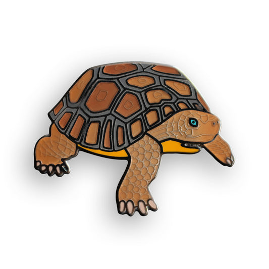 Desert Tortoise Pin