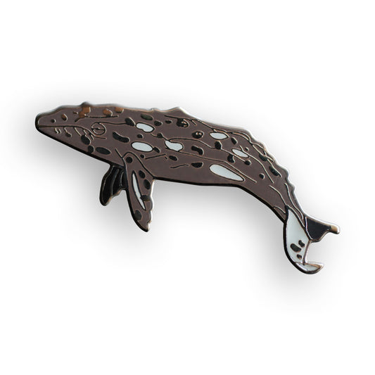 Gray Whale Pin