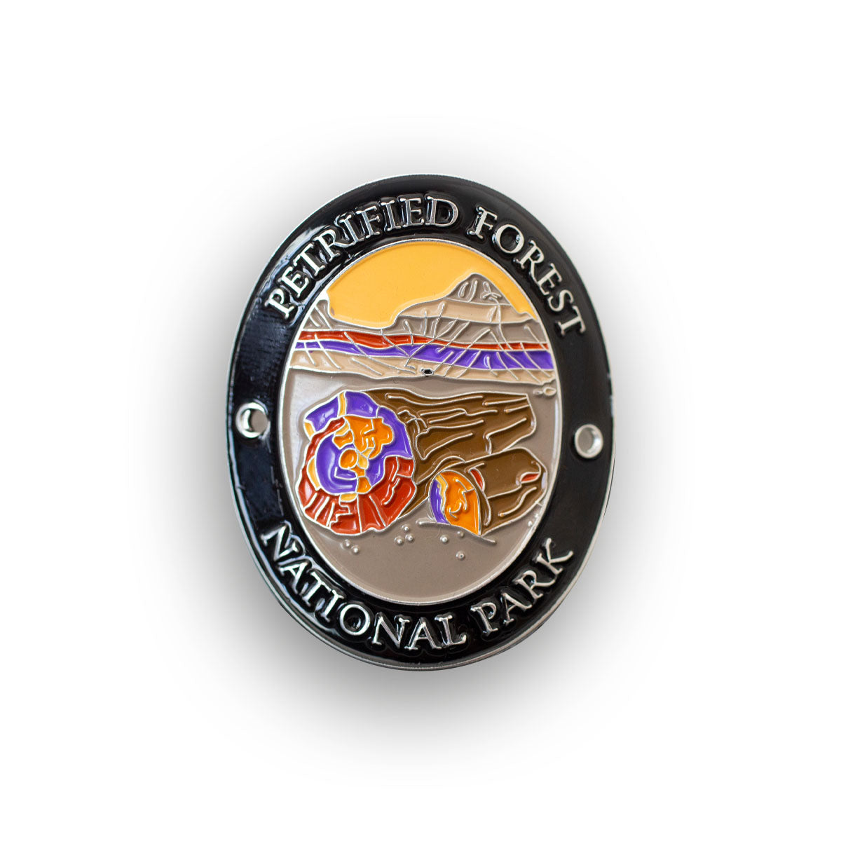 Petrified Forest National Park Traveler Walking Stick Medallion