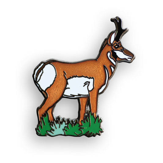 Pronghorn Pin
