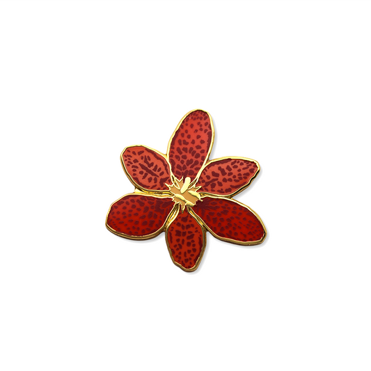 Blackberry Lily Pin