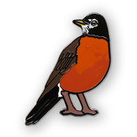 American Robin