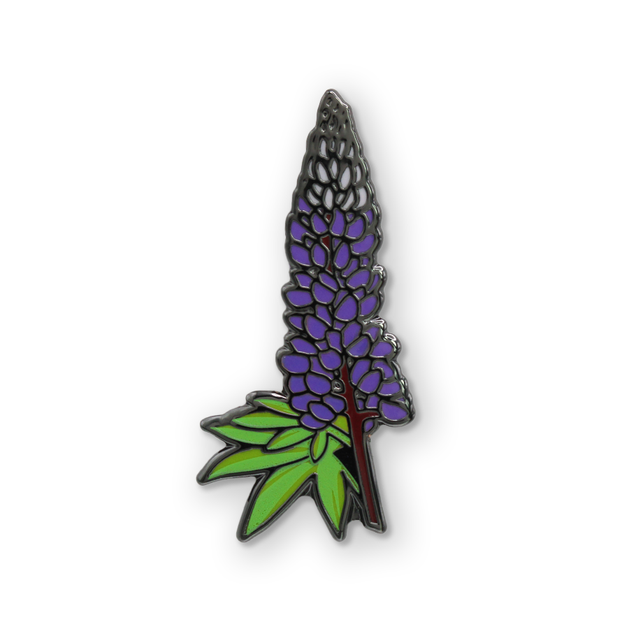 Lupine