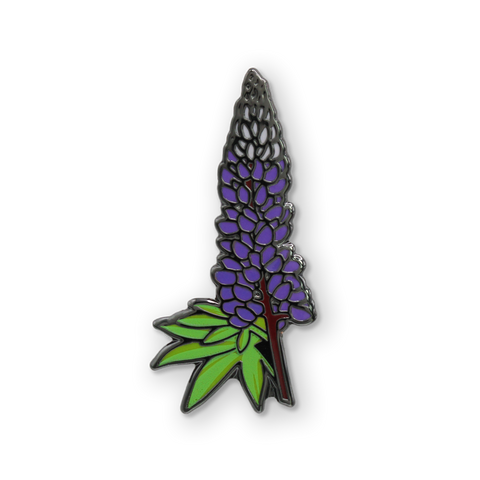 Lupine