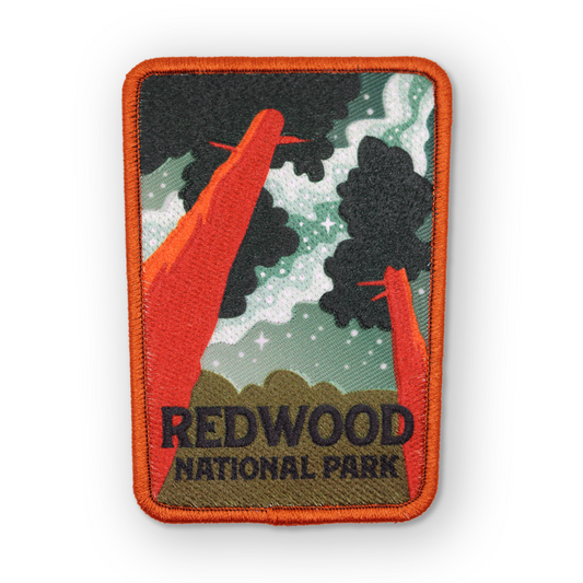 Redwood National Park Milky Way Patch