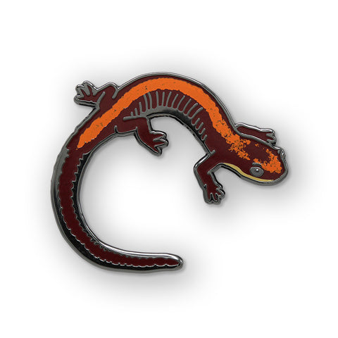 Shenandoah Salamander Pin