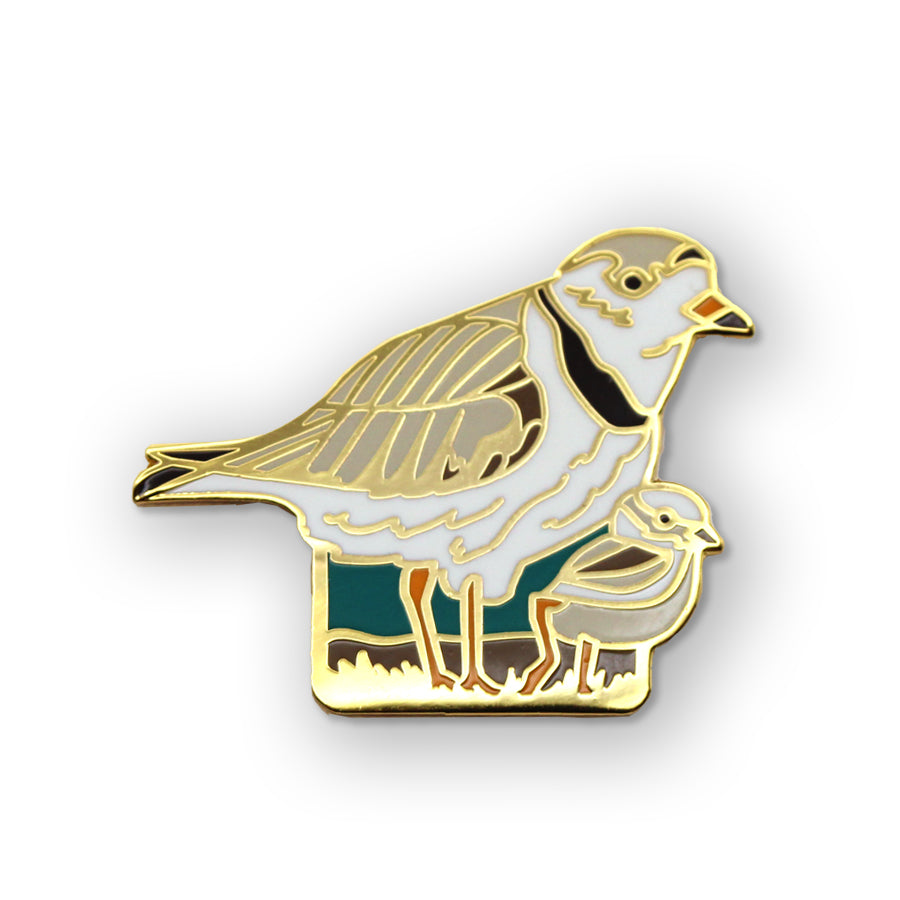 Piping Plovers Pin