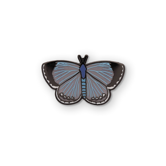 Hops Azure Butterfly Pin