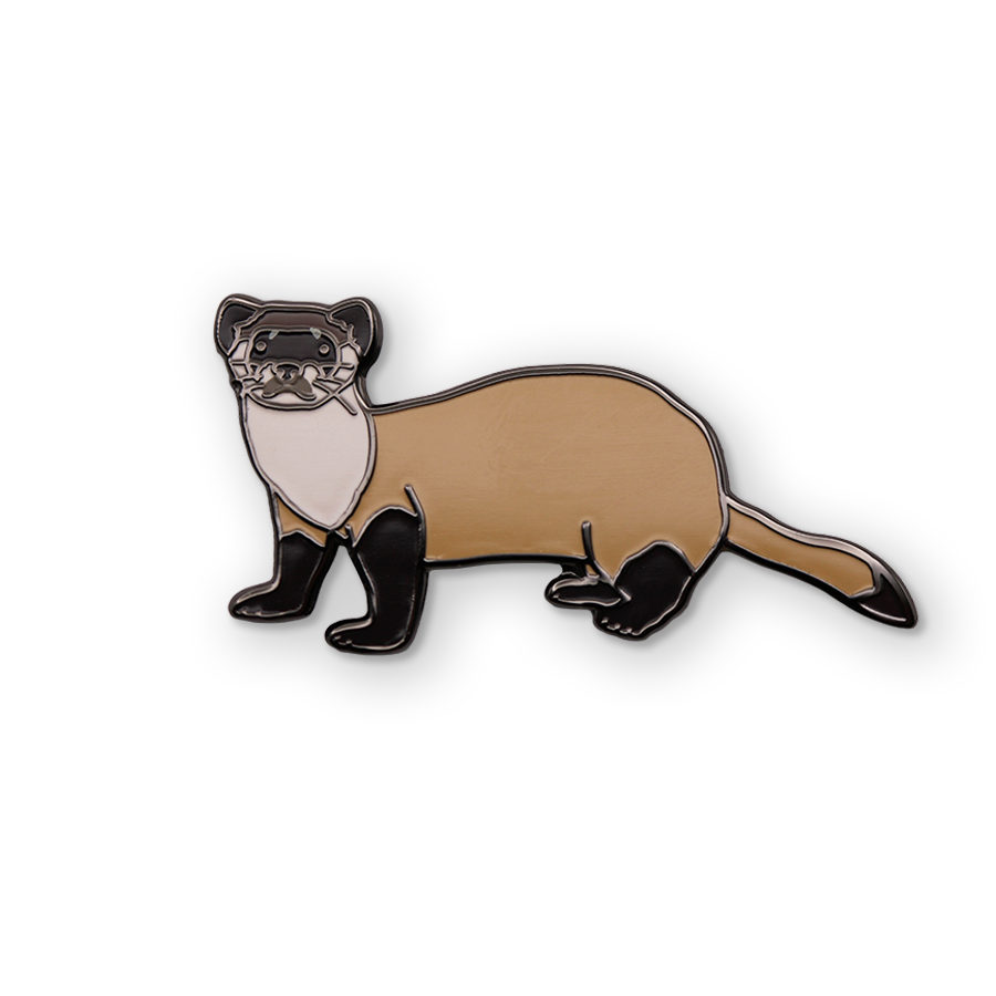 Black-footed Ferret Pin