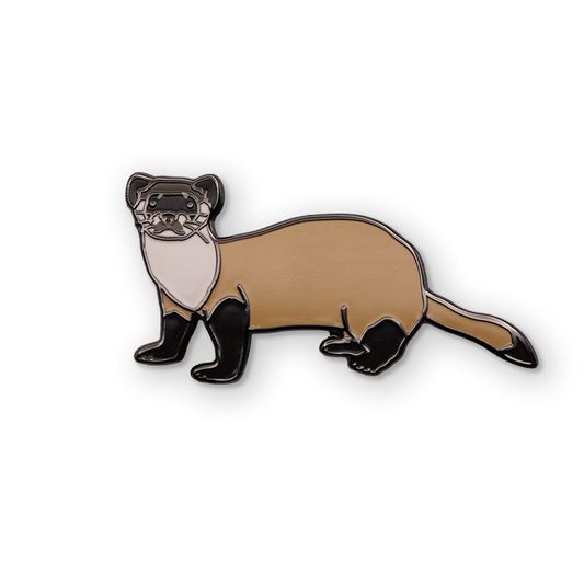 Black-footed Ferret Pin