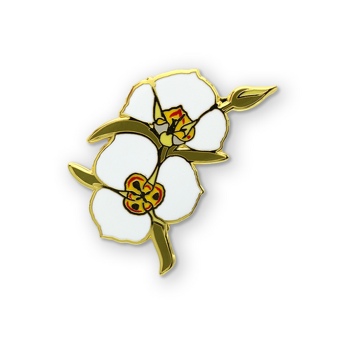 Sego Lily