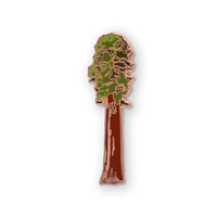 Sequoia Tree
