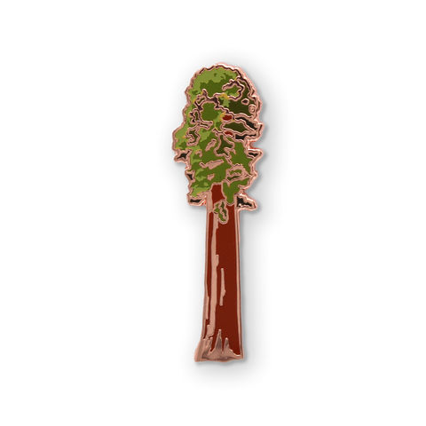 Sequoia Tree
