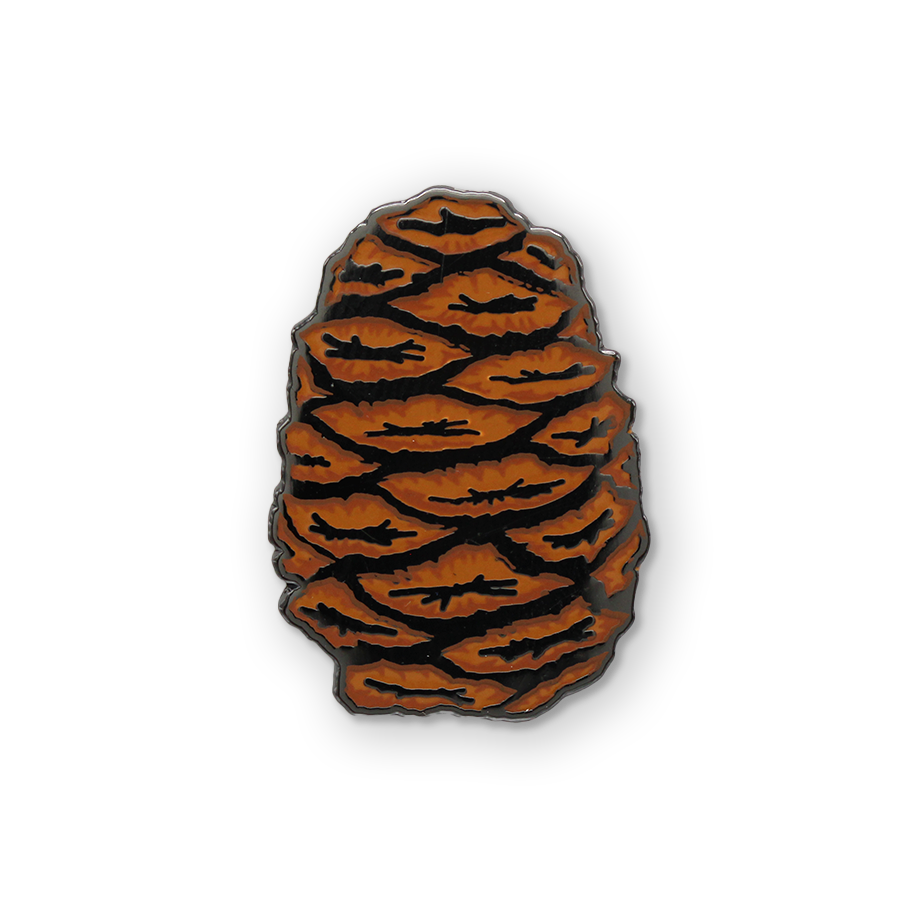 Sequoia Pinecone