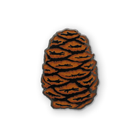 Sequoia Pinecone