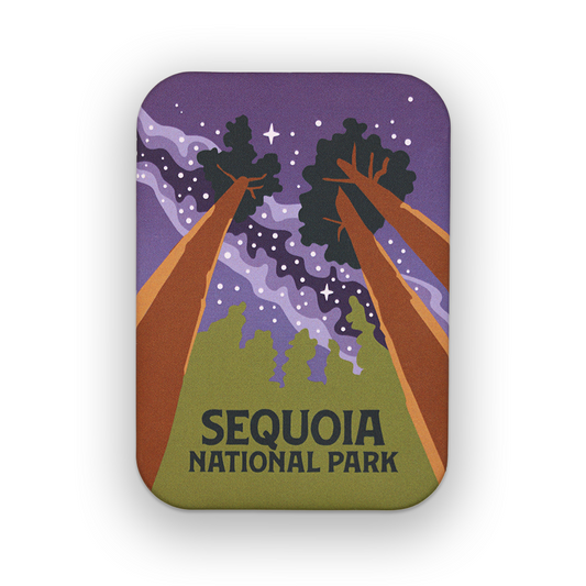 Sequoia National Park Milky Way Matte Magnet