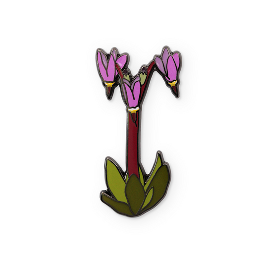 Shooting Star Pin