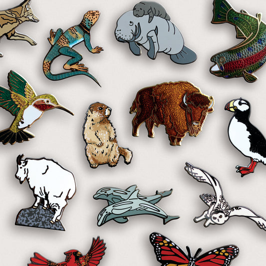 Mystery Pin