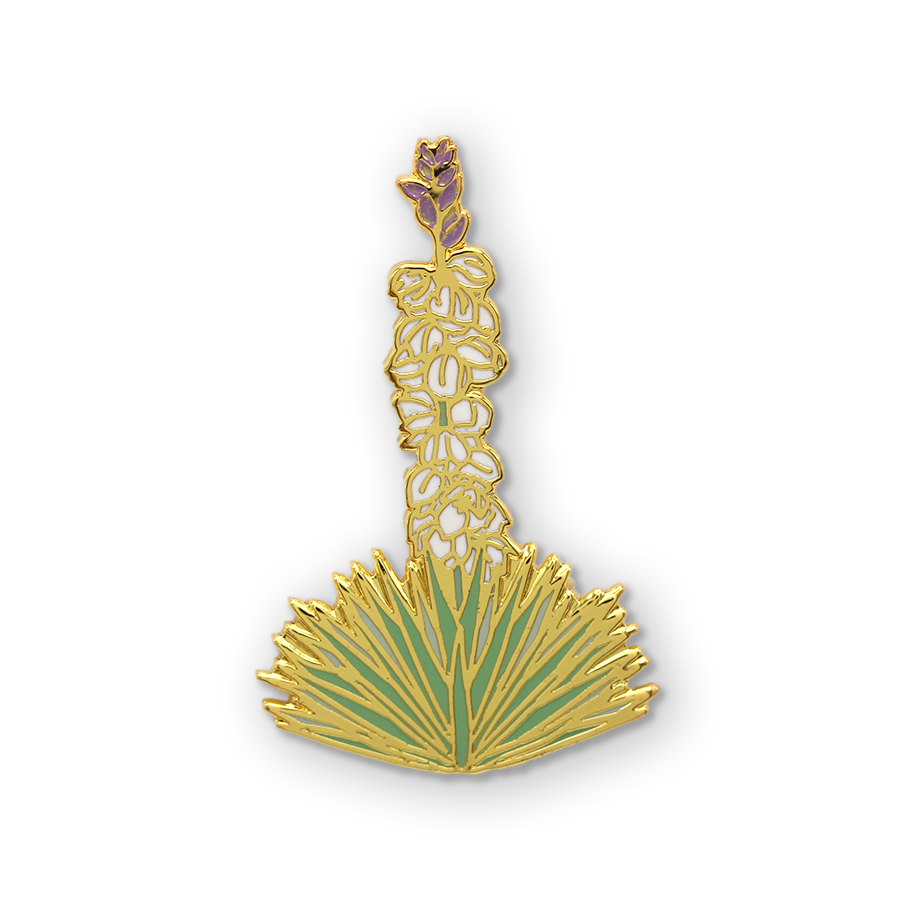 Yucca