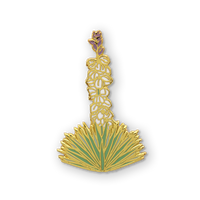 Yucca