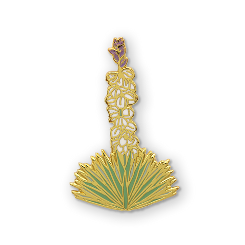 Yucca