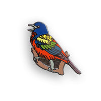 Painted Bunting