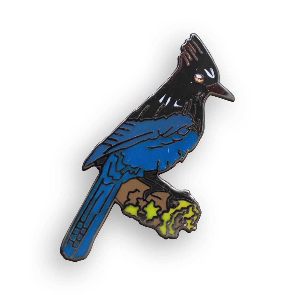 Steller's Jay Pin