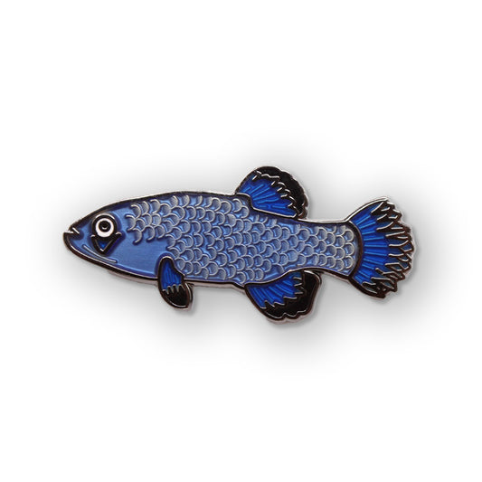 Pupfish Pin