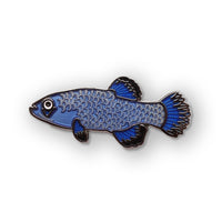 Pupfish