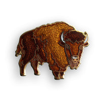 American Bison