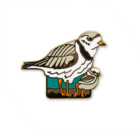 Piping Plovers Pin