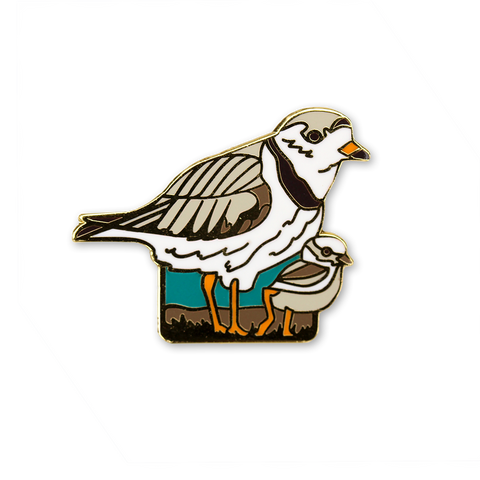 Piping Plovers Pin